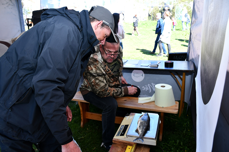 Autors: Ivars Bogdanovs