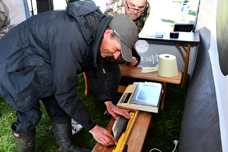 Autors: Ivars Bogdanovs