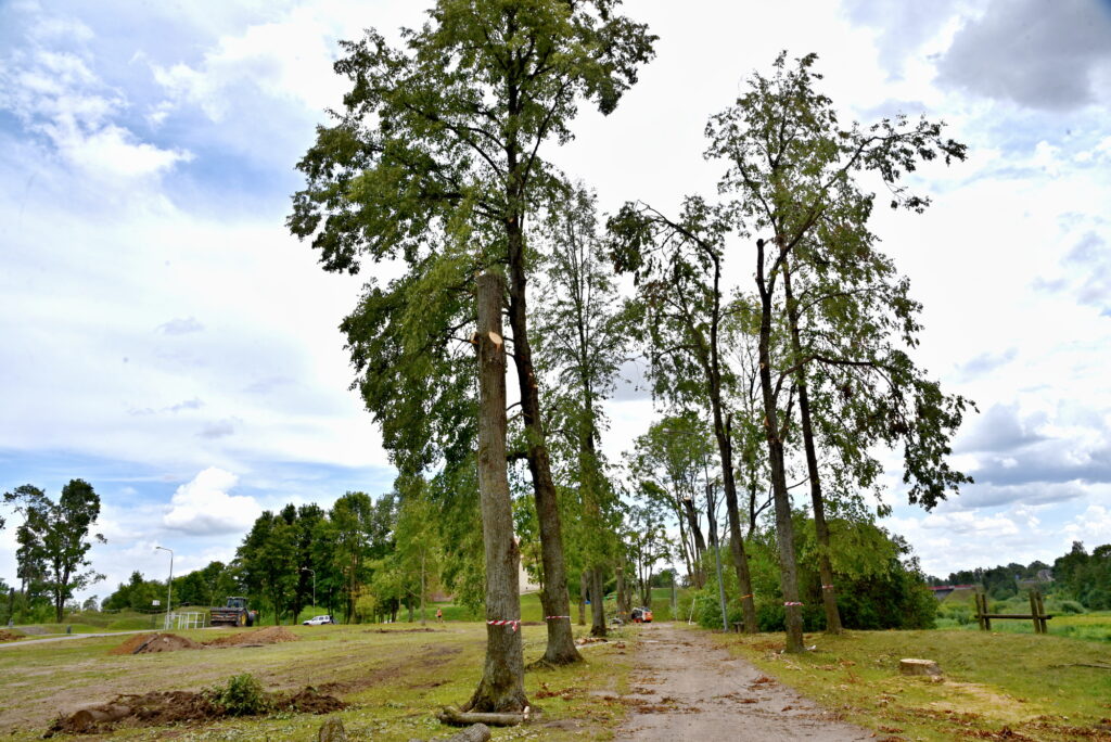 Autors: Uldis Varnevičs