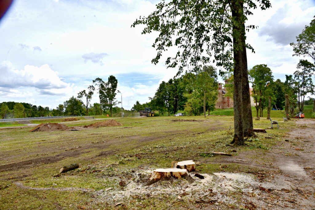 Autors: Uldis Varnevičs