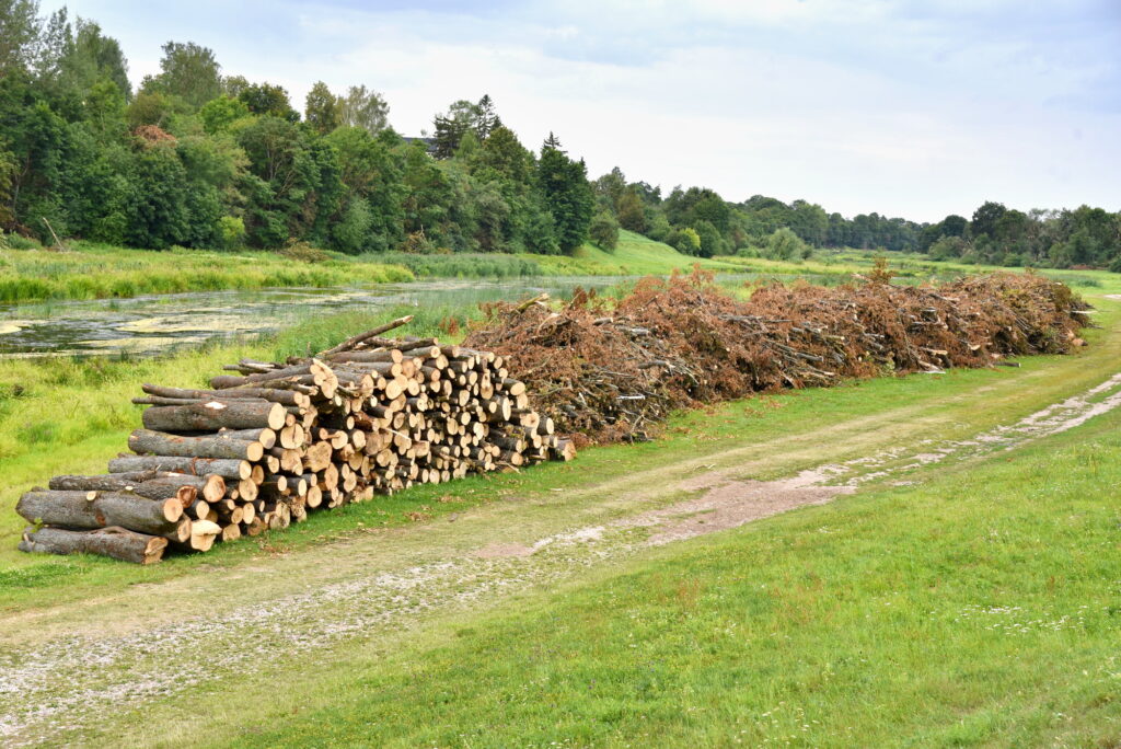 Autors: Uldis Varnevičs