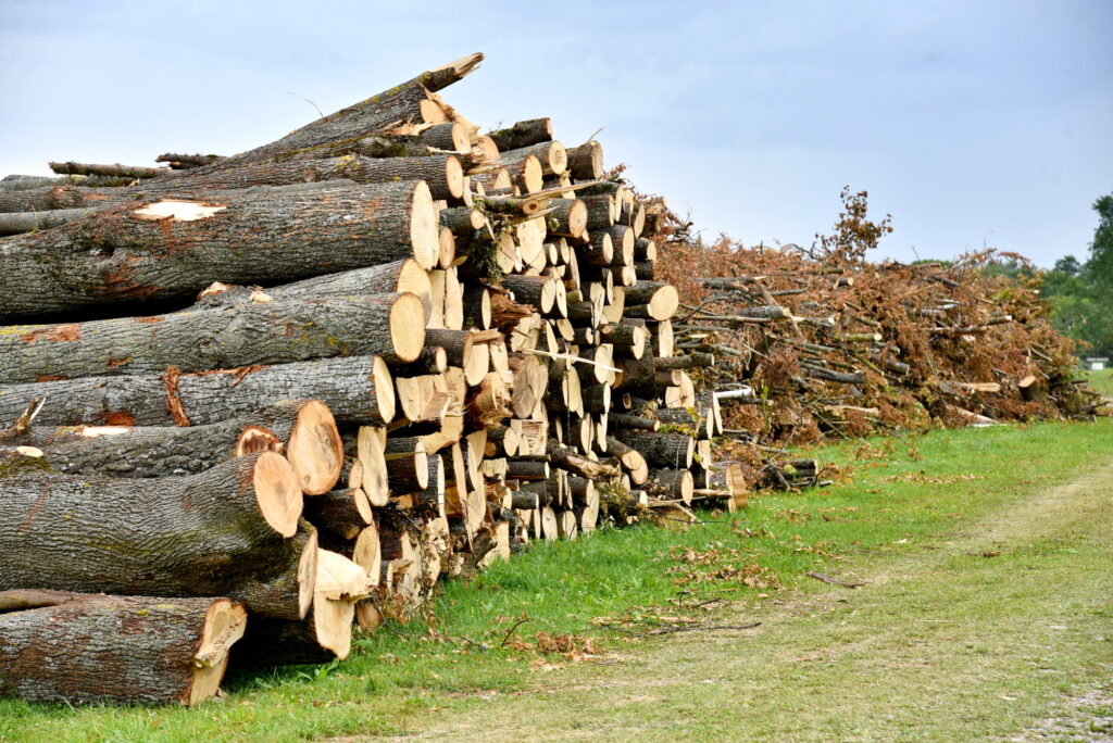 Autors: Uldis Varnevičs