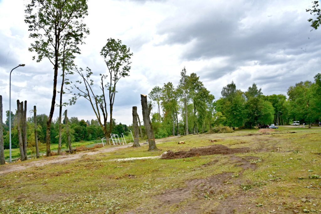 Autors: Uldis Varnevičs