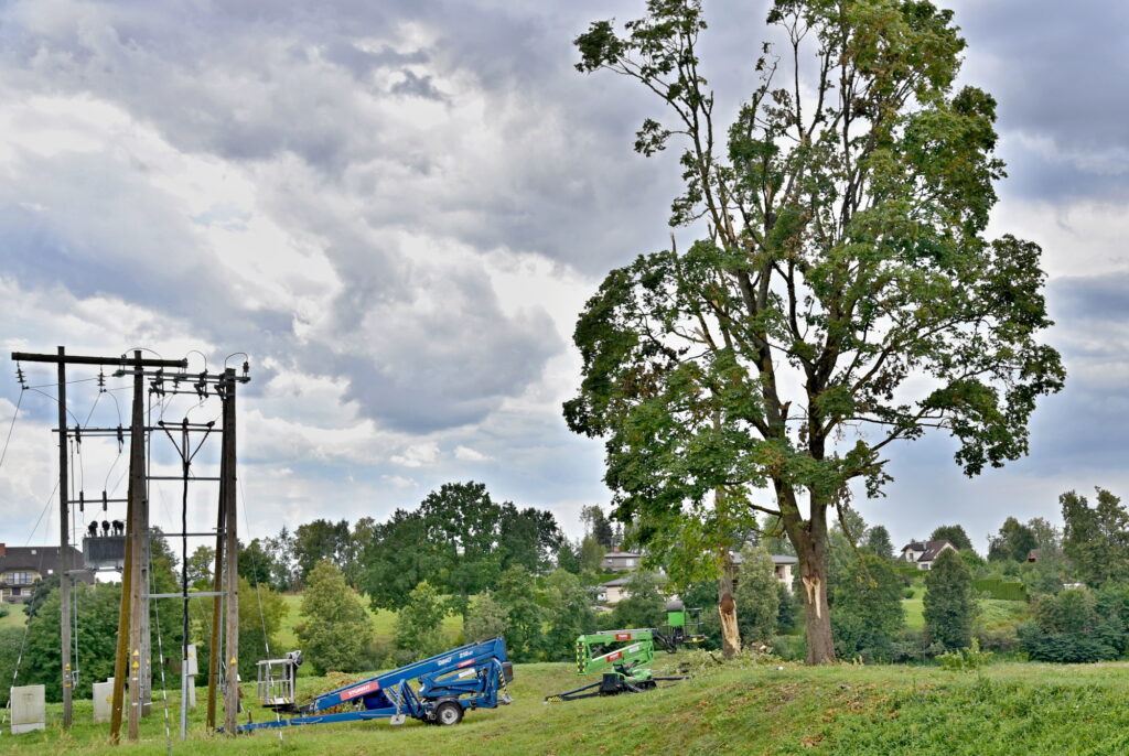 Autors: Uldis Varnevičs