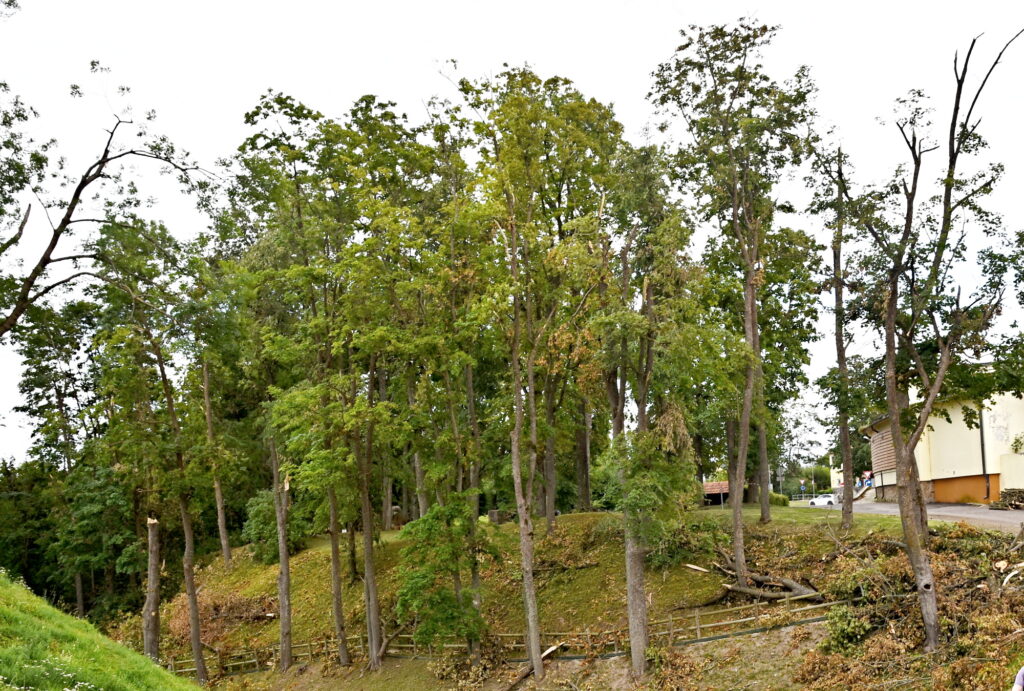 Autors: Uldis Varnevičs