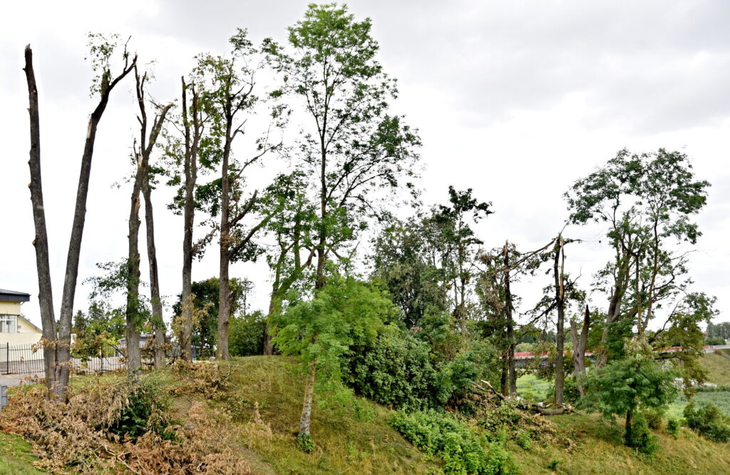 Autors: Uldis Varnevičs