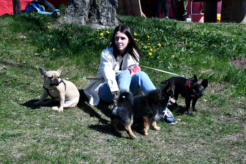 Autors: Ivars Bogdanovs