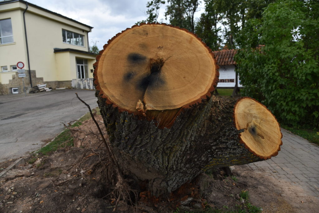 Autors: Uldis Varnevičs