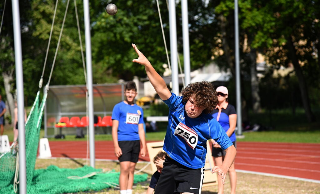 Autors: Uldis Varnevičs