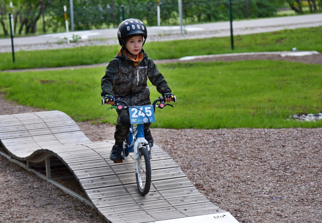 Autors: Uldis Varnevičs