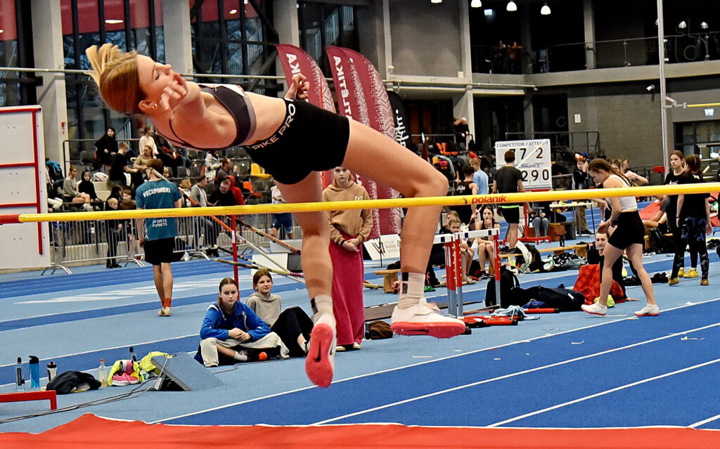 Autors: Uldis Varnevičs