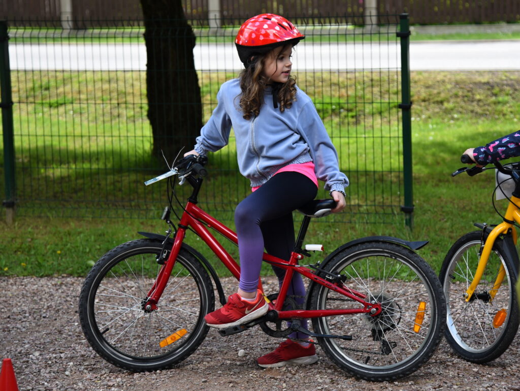 Autors: Uldis Varnevičs