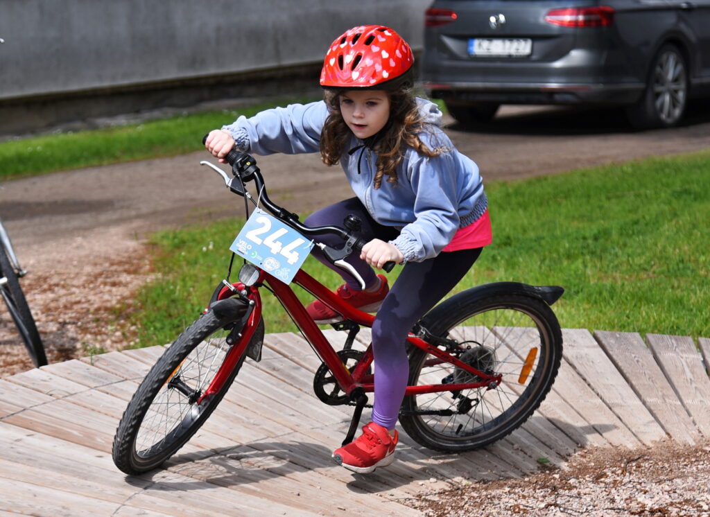 Autors: Uldis Varnevičs