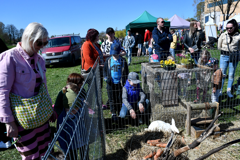 Autors: Ivars Bogdanovs