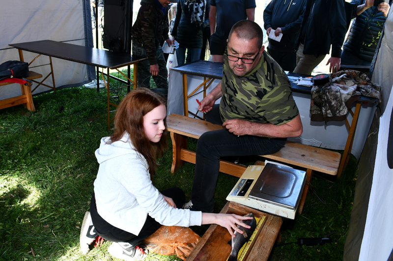 Autors: Ivars Bogdanovs