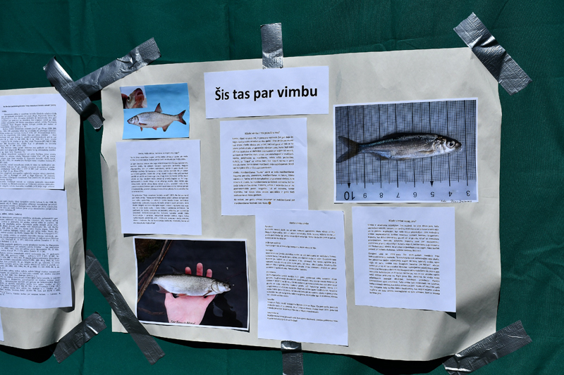 Autors: Ivars Bogdanovs