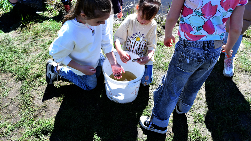 Autors: Ivars Bogdanovs
