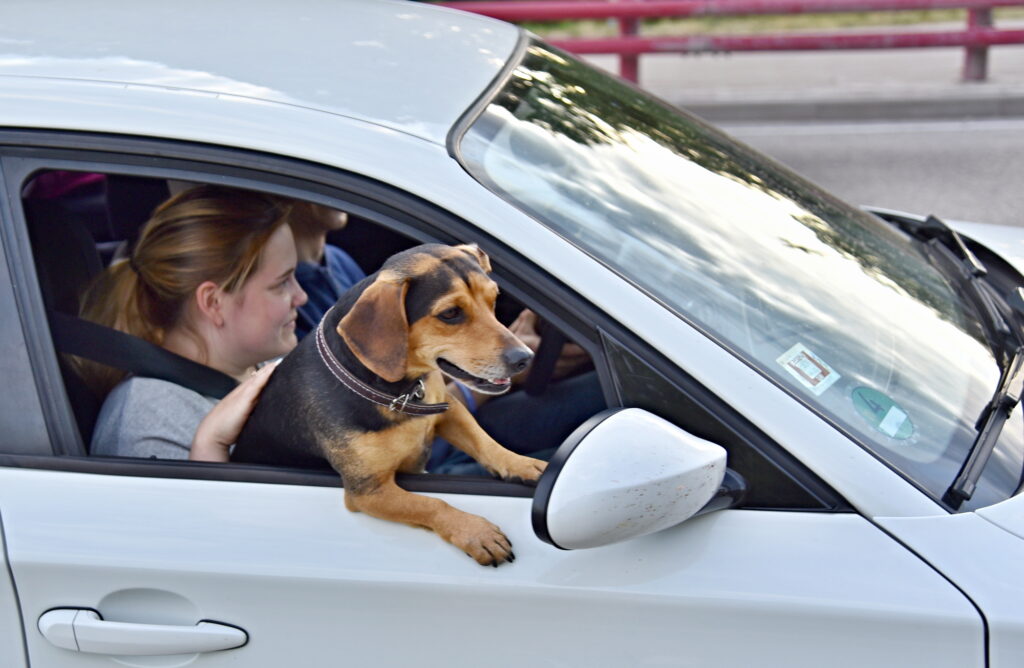 Autors: Uldis Varnevičs