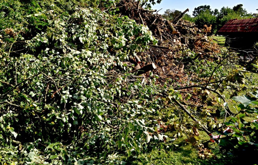 Autors: Uldis Varnevičs