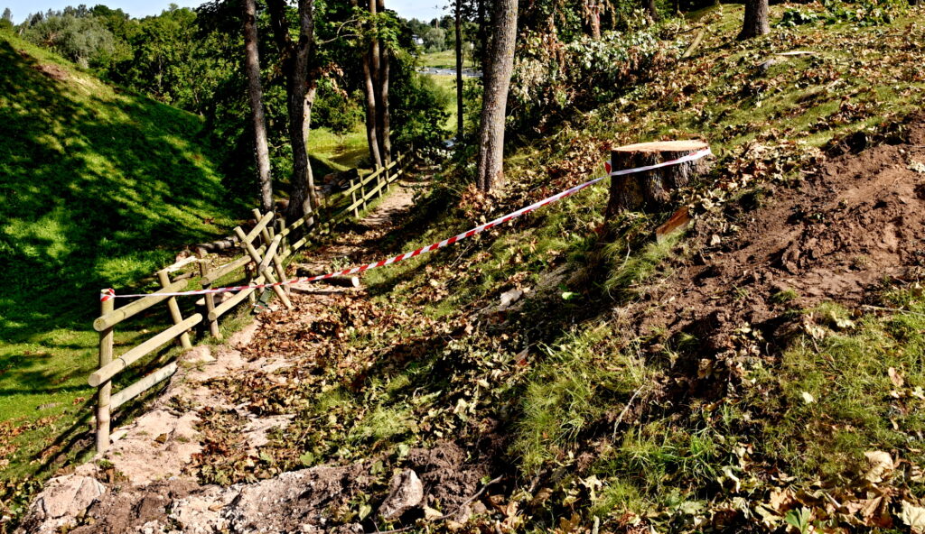 Autors: Uldis Varnevičs