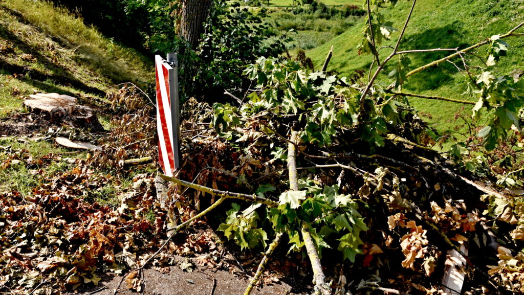 Autors: Uldis Varnevičs