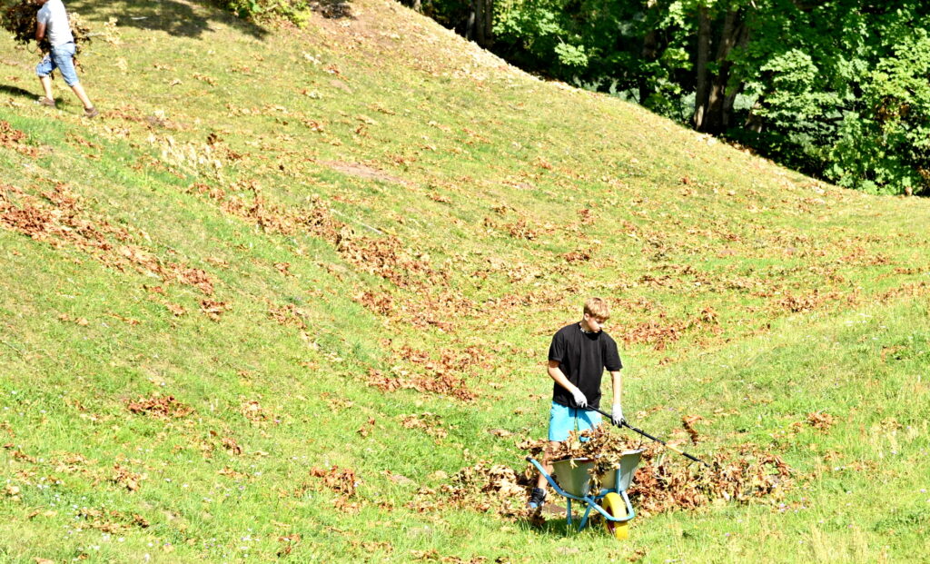 Autors: Uldis Varnevičs
