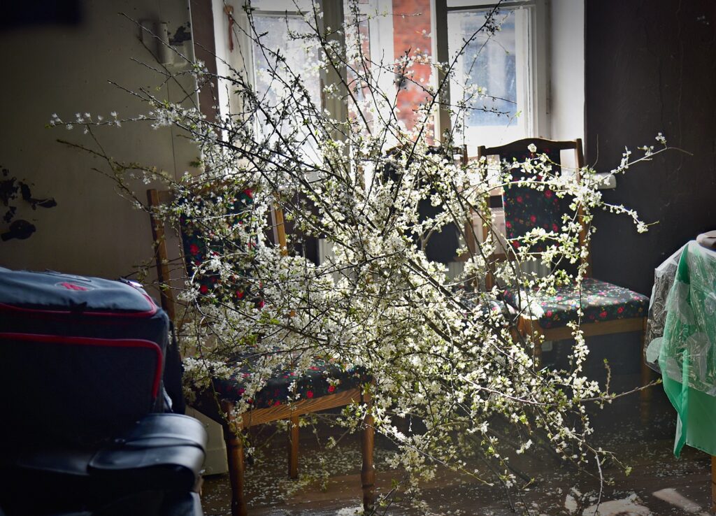 Autors: Uldis Varnevičs