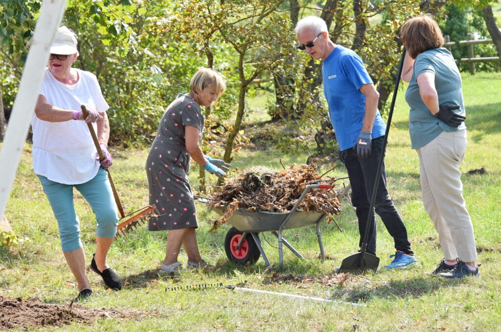 Autors: Uldis Varnevičs