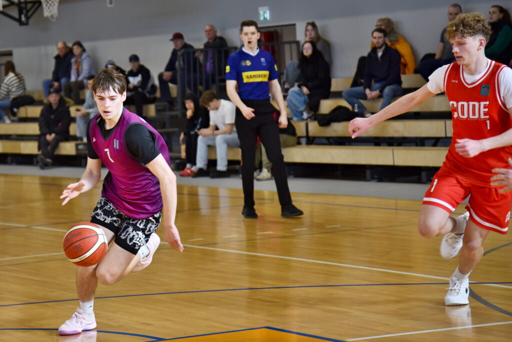 Autors: Uldis Varnevičs