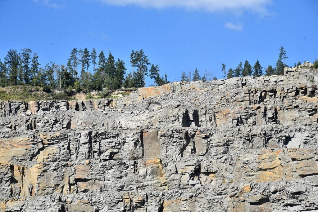 Autors: Uldis Varnevičs