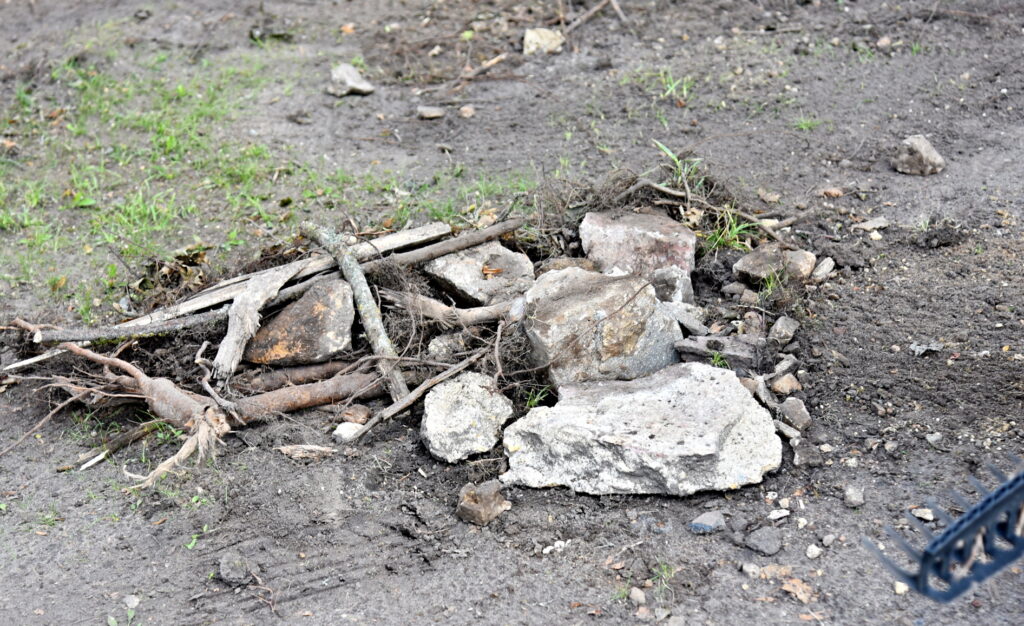 Autors: Uldis Varnevičs