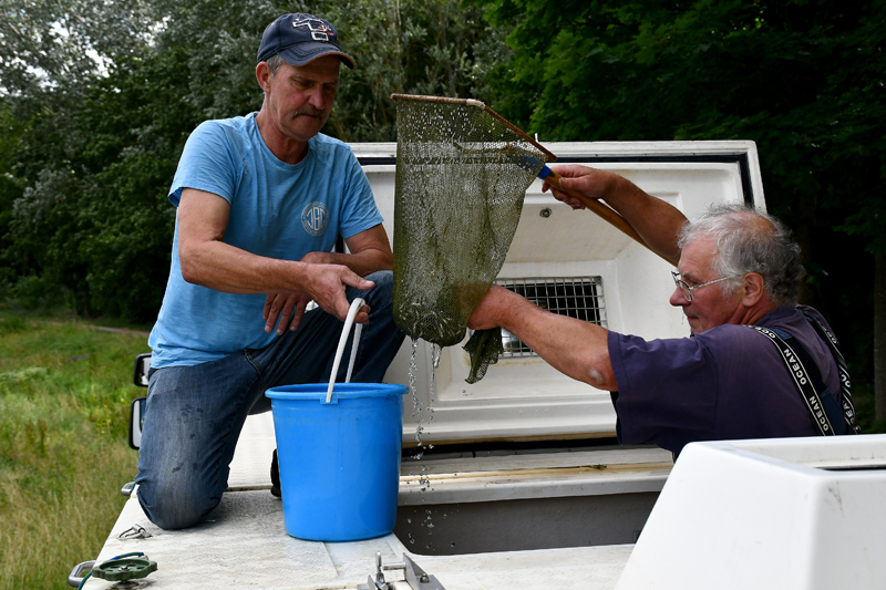 Autors: Ivars Bogdanovs