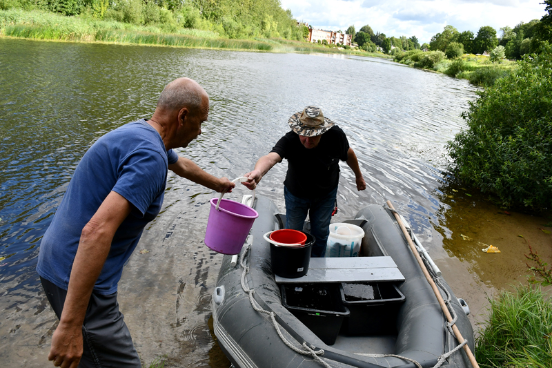 Autors: Ivars Bogdanovs