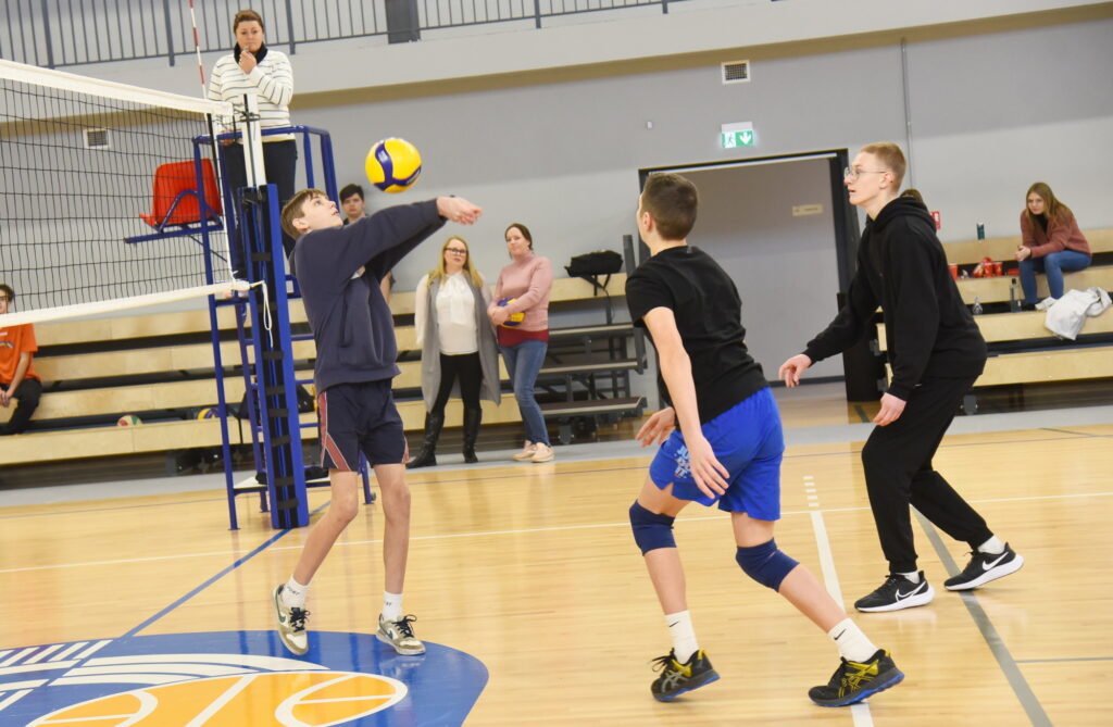 Autors: Uldis Varnevičs