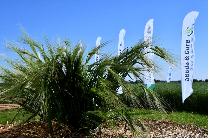 Autors: Ivars Bogdanovs