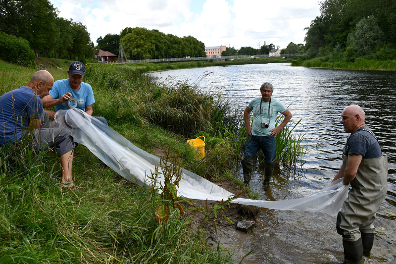 Autors: Ivars Bogdanovs