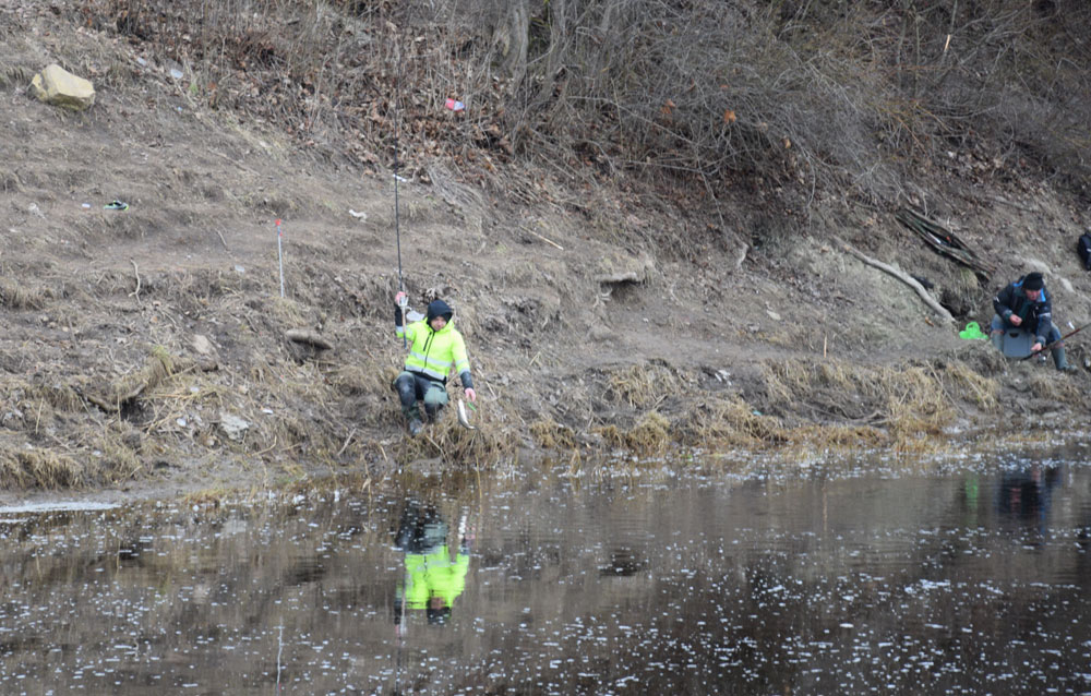 Autors: Māris Krūmiņš