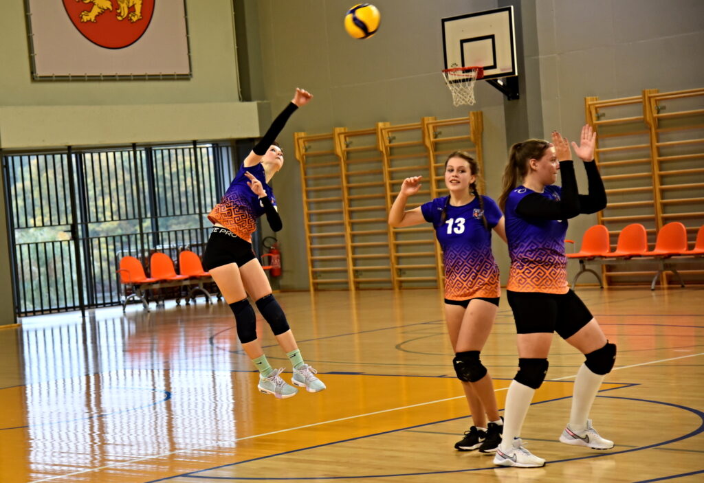 Autors: Uldis Varnevičs