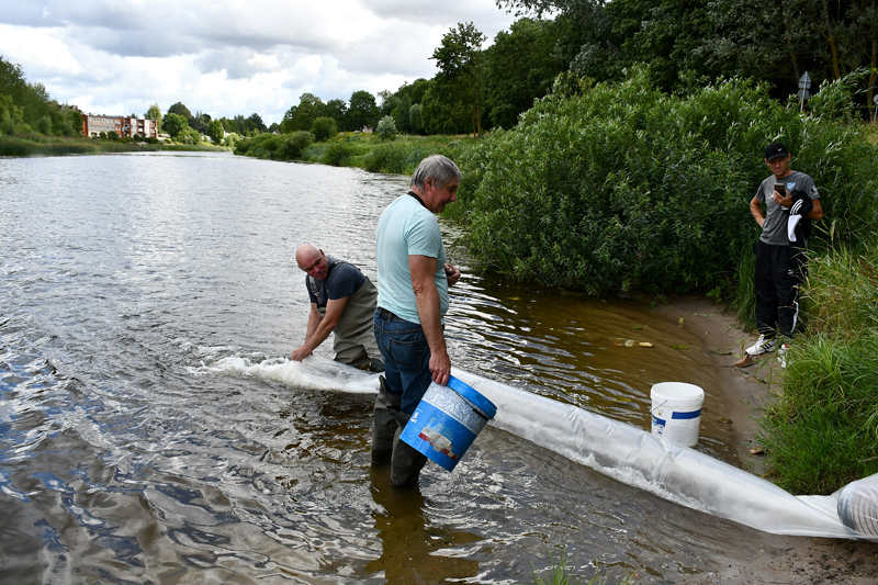 Autors: Ivars Bogdanovs