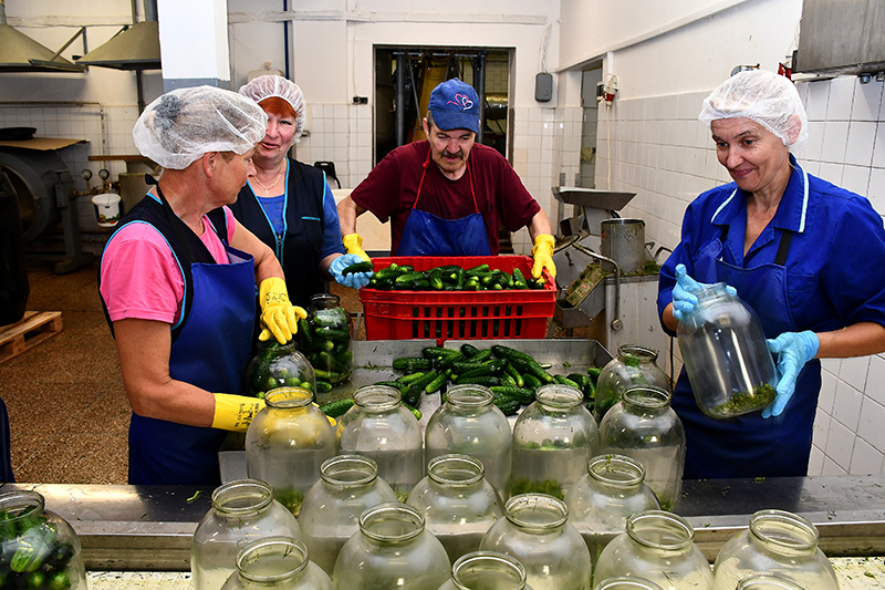 Autors: Ivars Bogdanovs