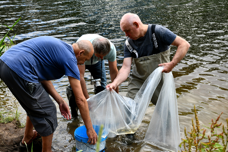 Autors: Ivars Bogdanovs