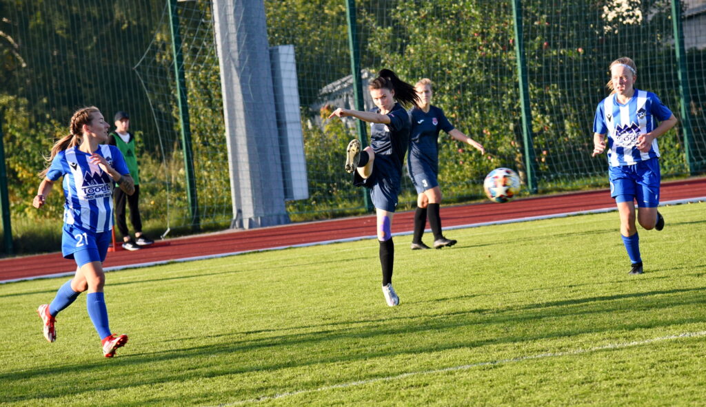 Autors: Uldis Varnevičs