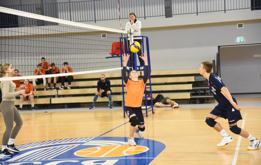 Autors: Uldis Varnevičs