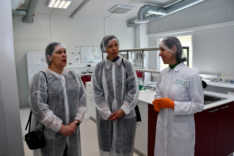 Autors: Ivars Bogdanovs