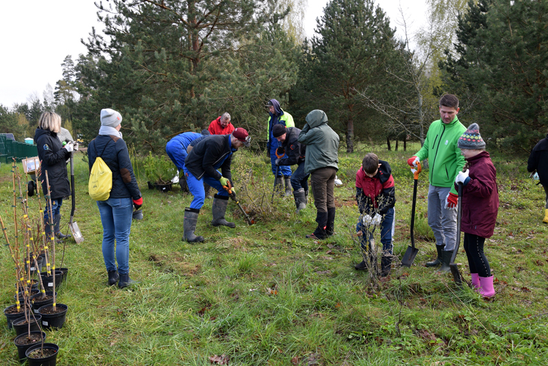 Autors: Māris Krūmiņš
