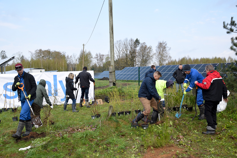 Autors: Māris Krūmiņš