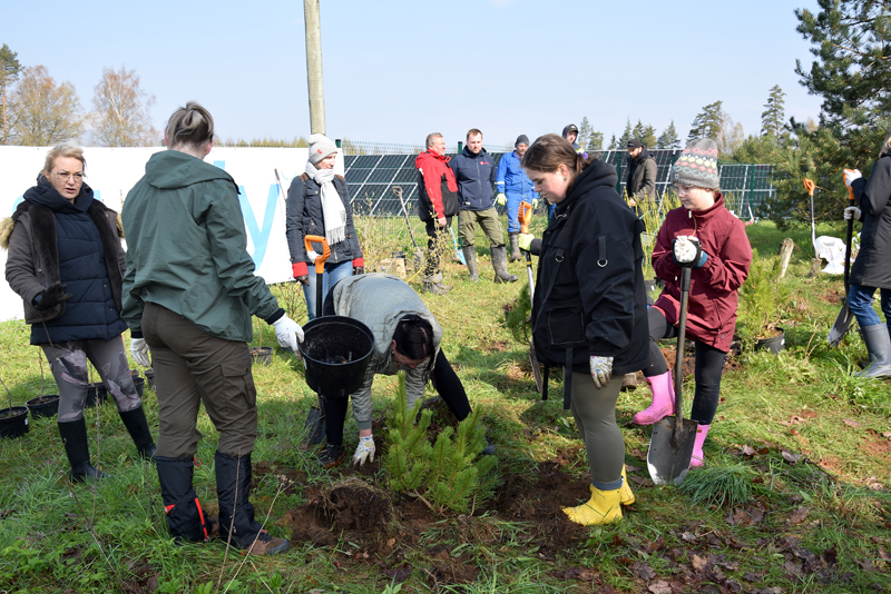 Autors: Māris Krūmiņš