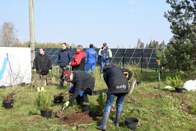 Autors: Māris Krūmiņš