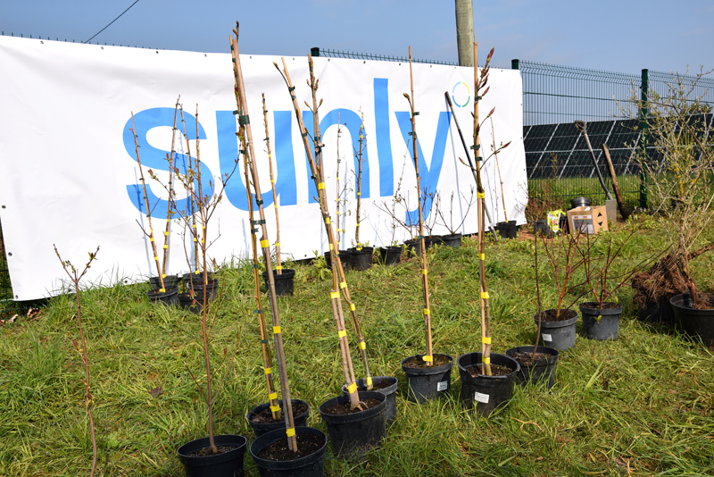 Autors: Māris Krūmiņš