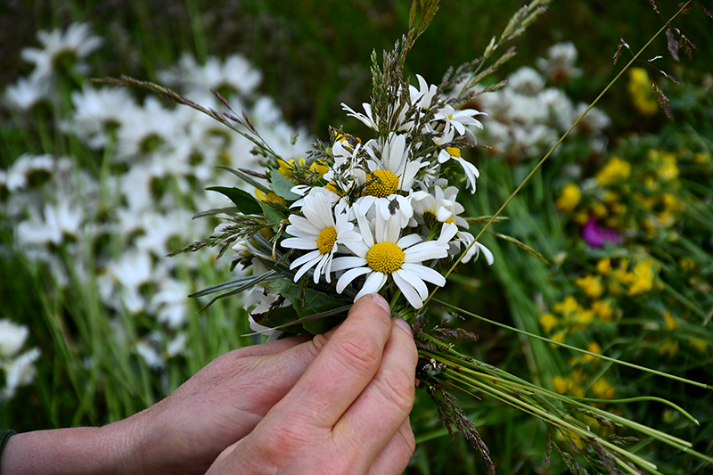 Autors: Ivars Bogdanovs
